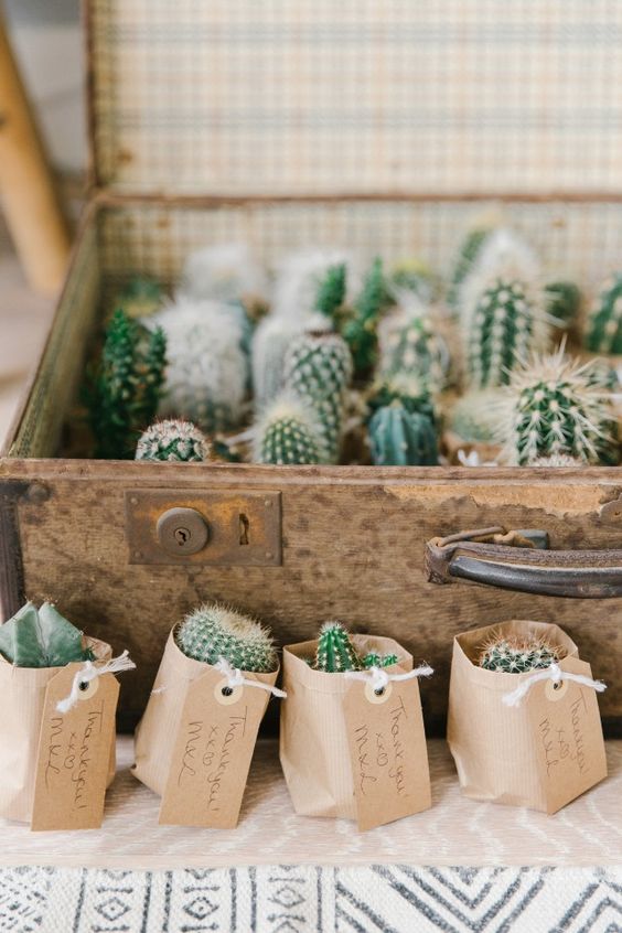 bodas con cactus