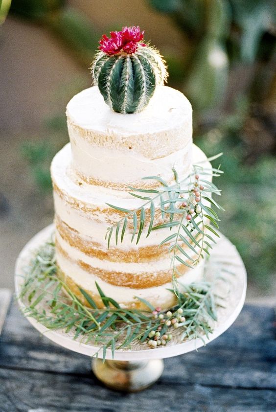 bodas con cactus